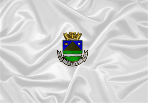 Entenda a Bandeira e o Brasão de Cotia